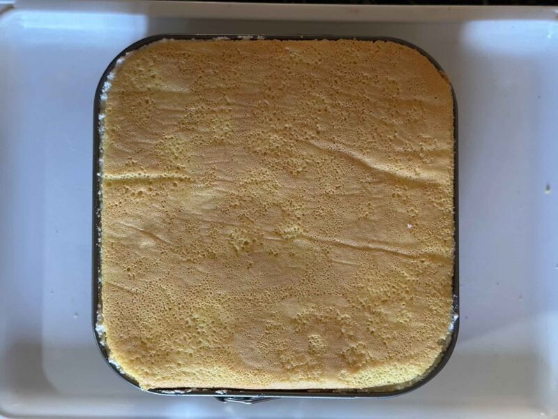 Završni sloj biskvita